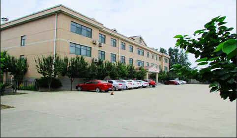 華全動(dòng)力：用文化照亮發(fā)展征途