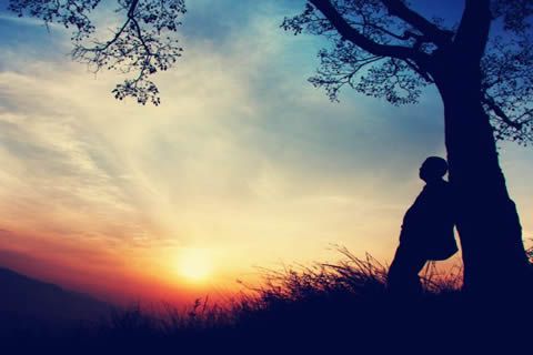 平淡中看精彩，幽默里品生動