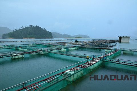 華全動力大講堂：養殖業如何選擇柴油發電機組