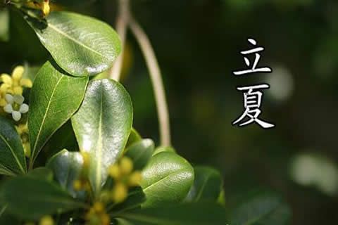 華全動(dòng)力：真沒(méi)想到！“立夏”趣事竟然這么多