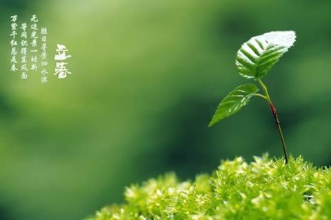 昨夜伴春回！華全發電機組2月4日盛裝營業