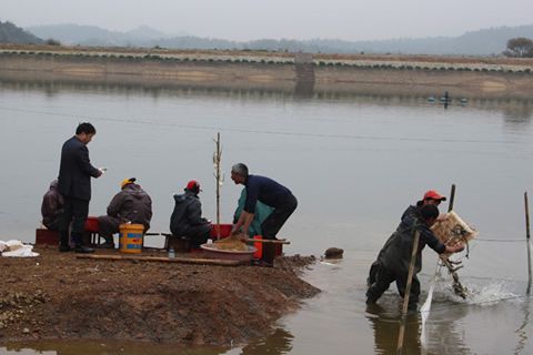 春回大地，漁業(yè)管理要跟上！柴油發(fā)電機(jī)組也該上場了