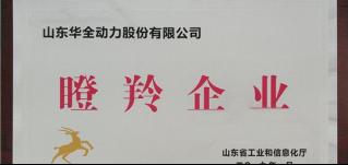 新春將至，喜報頻傳！華全集團被認定為山東省瞪羚企業(yè)！