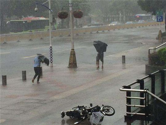 沒有三兩三，哪敢上梁山!無懼臺風，穩定發電，盡在華全