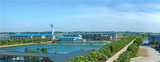 專業(yè)巡檢，熱心服務(wù)!華全發(fā)電機(jī)組助力養(yǎng)殖企業(yè)溫暖過(guò)冬!